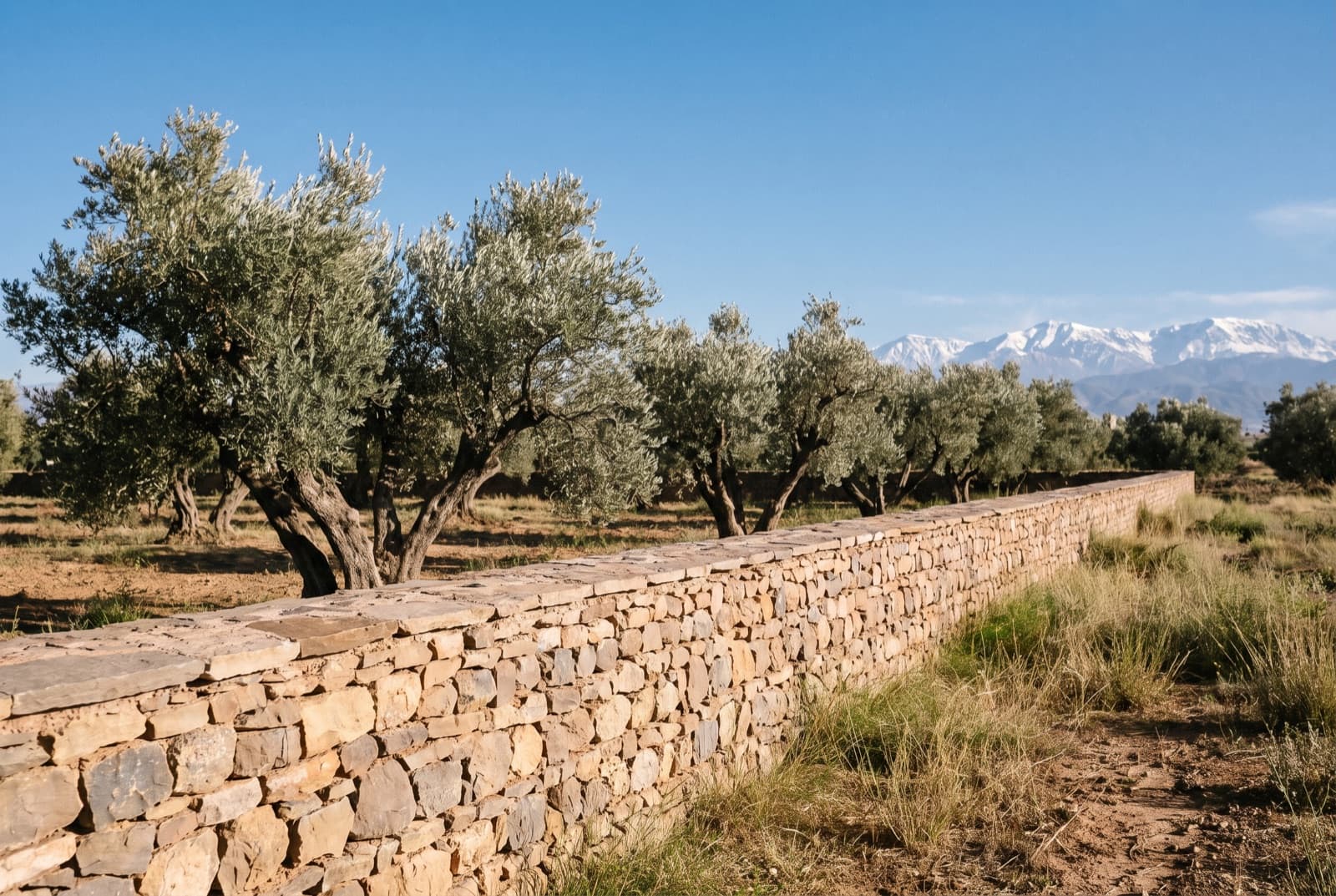 Mur de clôture en pierre sèche, appareillage artisanal